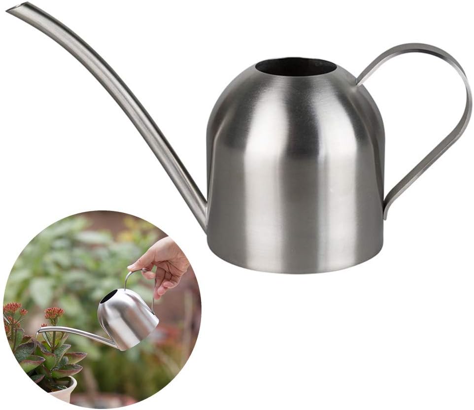 Stainless Steel Watering Can, Small Long Mouth Watering Pot for House Indoor Outdoor Garden Succulent Plants 500ML (Silver)