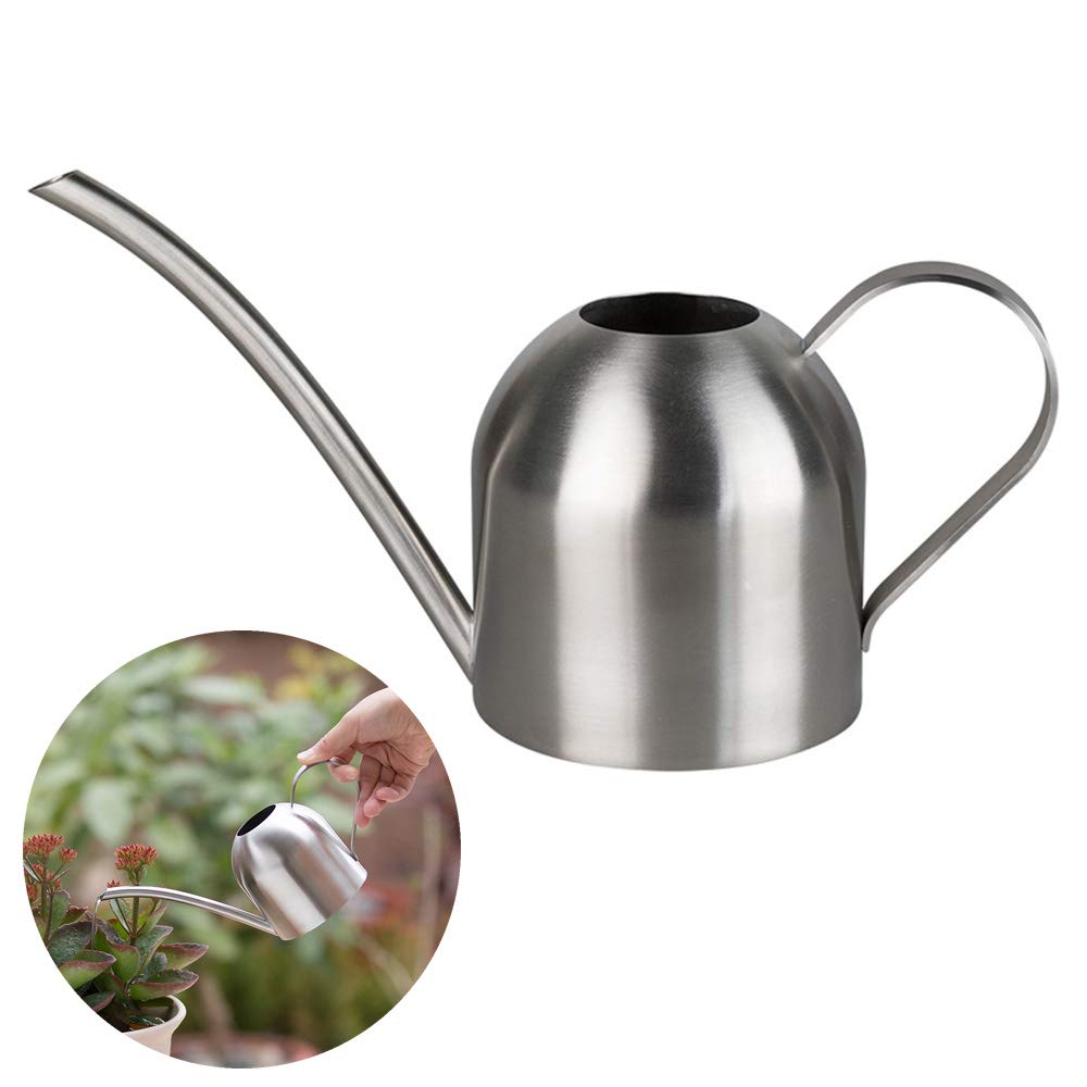 Stainless Steel Watering Can, Small Long Mouth Watering Pot for House Indoor Outdoor Garden Succulent Plants 500ML (Silver)