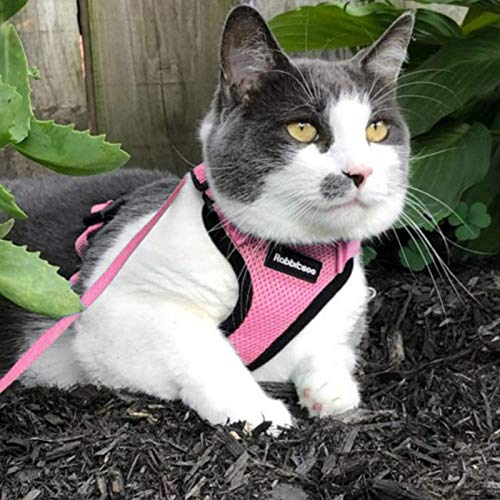 Rabbitgoo Cat Harness And Leash For Walking, Escape Proof Soft