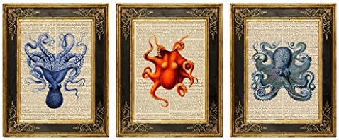 Dreamery Studio, Octopus No. 1 Set of 3 Upcycled Antique Book Page Art Prints, 8x10.5 Unframed