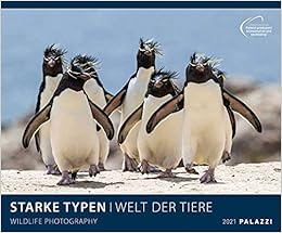 Starke Typen 2021 Bild Kalender Wand Planer 60x50 Wildlife Photography Amazon De Palazzi Kalender Bucher kalender 2021 60x50
