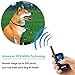 Vicvol Dog Training Collar