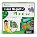 Learning Resources Giant Magnetic Plant Cell