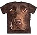 The Mountain girls Chocolate Lab Face T Shirt, Brown, Small US