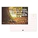 Juvale 40 Pack Blank Bible Verse Postcards, All Occasion Inspirational Quotes from Christian Scripture, 20 Designs (4 x 6 In)