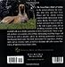 Great Dane: Model of Nobility