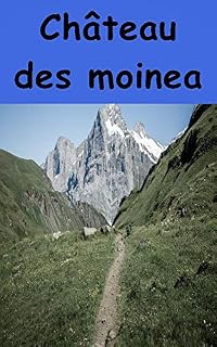 Livro Château des moineaux
