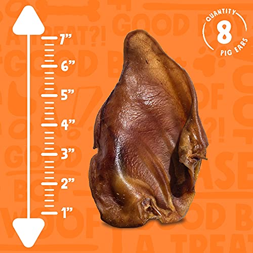 JollyBarks Whole Pig Ears for Dogs 6Inch Premium Natural Single