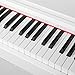 LAGRIMA Digital Piano, 88 Key Electric Keyboard Piano for Beginner W/Music Stand+Power Adapter+3-Pedal Board+Instruction Book+Headphone Jack(White Only Piano)