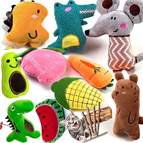 Catnip toys for indoor cats