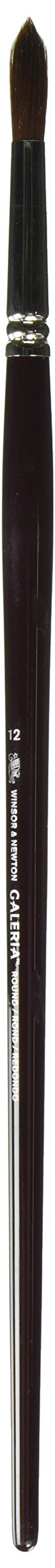Winsor and Newton Galeria Brush Long Handle Round No 12 (Each)
