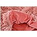 Soffte Cloud Super Soft Long Shaggy Warm Plush Fannel Blanket Throw Qulit Cozy Couch Blanket for Winter Dirty Pink(51