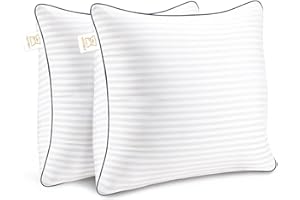 Yettbea Throw Pillows Insert, 18'' x 18'' Set of 2, Decorative for Couch, Sofa or Bed with Premium Down Alternative Filled, White