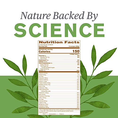 Nature's Sunshine Love and Peas, Sugar Free, 675gr. Bag | Vegan Protein Powder with Natural Pea Protein and Other Nourishing Whole Foods and Nutrients