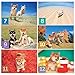 Shiba Inu Calendar 2019 with Adorable Shiba Dogs' Pictures | US Holidays & Japanese Holidays | in English | Made in Japan (Wall Calendar 2019)