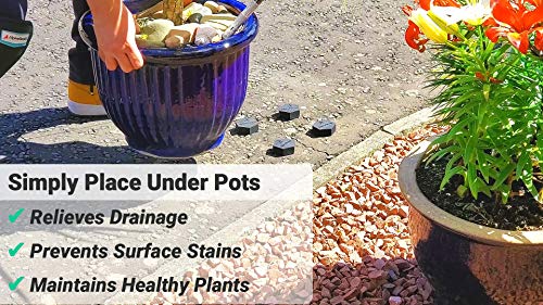 AlpineReach Pot Feet Hexagons 12 Pack - Protect Healthy Plants - Strong Invisible Risers Supports Small to Large Flower Planters with Increased Stability - Outdoor Lifter Toes Elevators Adhesive Pads