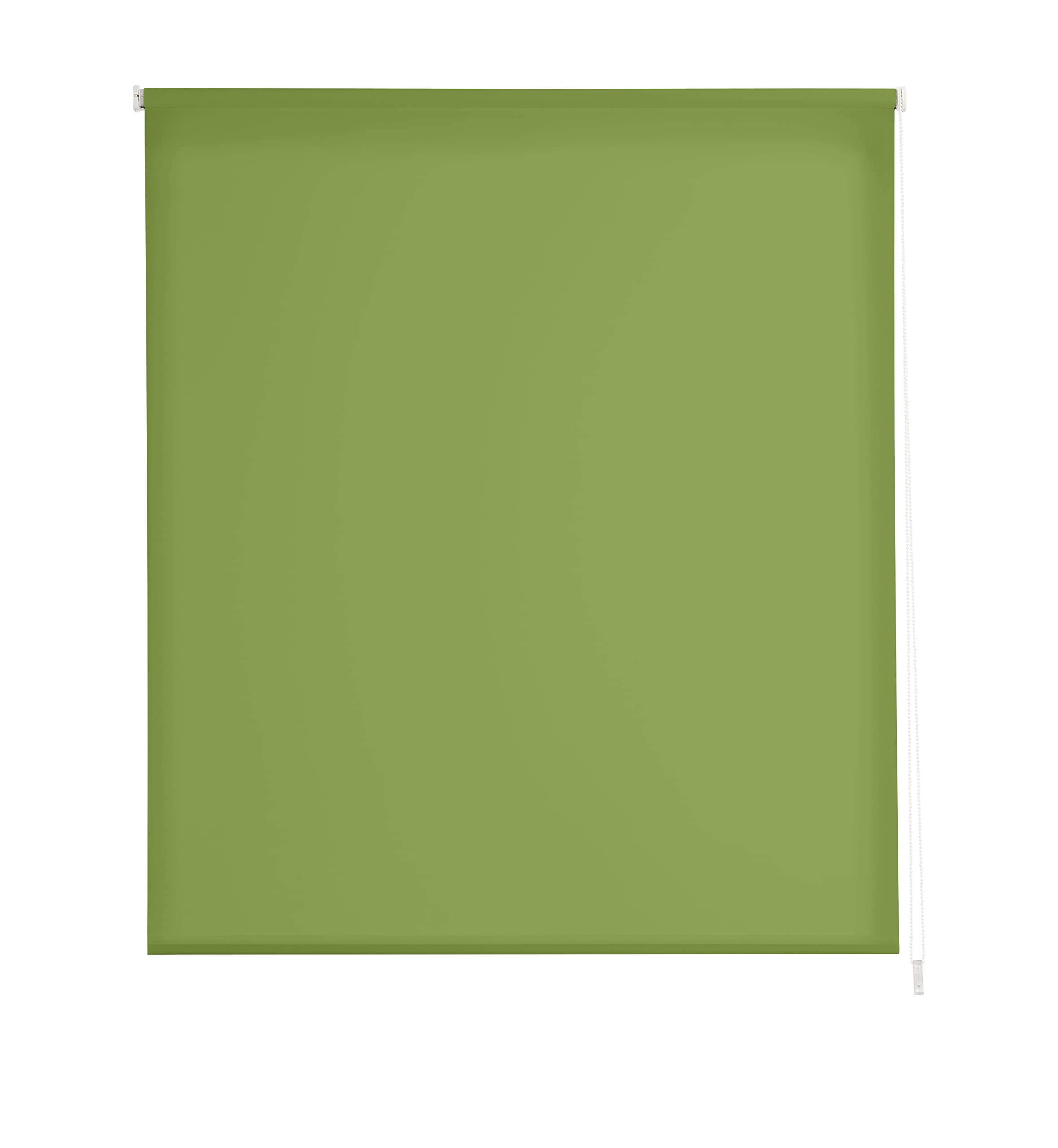 Estoralis Translucent Translucent Roller Blind 110 x 230 cm pistachio
