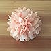 Winrase Set of 16 Handmade Chiffon Flowers Without Clip for Kids Headdress