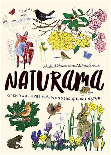 Naturama: Open Your Eyes to the Wonders of Irish Nature (What Can You See), by Michael Fewer