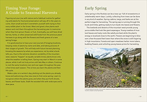 Mountain States Foraging: 115 Wild and Flavorful Edibles from Alpine Sorrel to Wild Hops (Regional Foraging Series) - Thumbnail 2