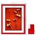 BOJIN 11x14 Inch Wooden Picture Frames, Diploma Photo Frame for Wall Hanging,Certificate Frame,Document Frame,Display A4 With Mat-Red