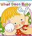 What Does Baby Say?: A Lift-the-Flap Book (Karen Katz Lift-the-Flap Books)