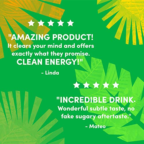 Organic Clean Energy Drink by RUNA, Mango Tango Refreshing Tea Taste