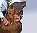 ThunderCap Calming Cap for Dogs (Medium)