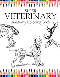 Saunders Veterinary Anatomy Coloring Book, 1e: 9781437714395: Medicine