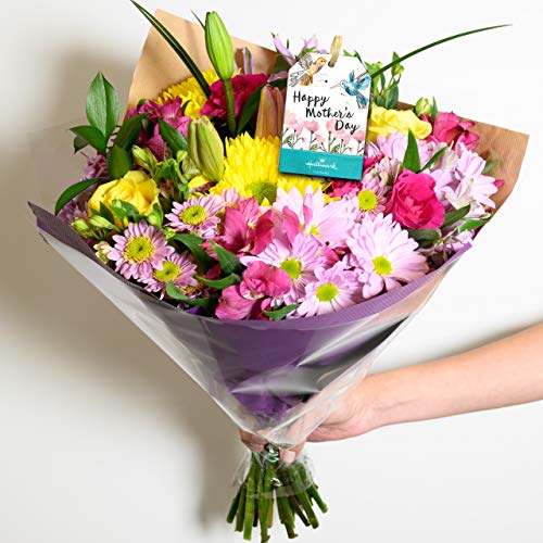 Spring Splendor Bouquet, Fresh Cut Flowers, No Vase, From Hallmark Flowers