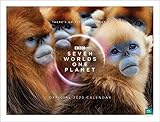 BBC Blue Planet Deluxe Oversize 2020 Calendar - Official 525x400mm Wall Format Calendar by 
