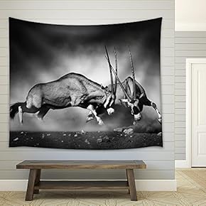 Gemsbok Dual (Artistic Processing) - Fabric Wall Tapestry Home Decor - 51x60 inches
