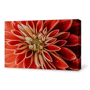 Canvas Wall Art for Living Room,Bedroom Home Artwork Paintings Close-up of Flower Ready to Hang - 12x18 inches