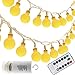 echosari Frosted Warm White Globe Battery String Lights with Timer & Remote, Strand of 100, 33ft/10m, 8 Mode, Waterproof
