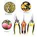 Ginbel Direct 3 Pack Gardening Pruner Shears Stainless Steel Blades Garden Cutter Clippers Pruning Hand Tools Garden Scissors Kitthumb 3
