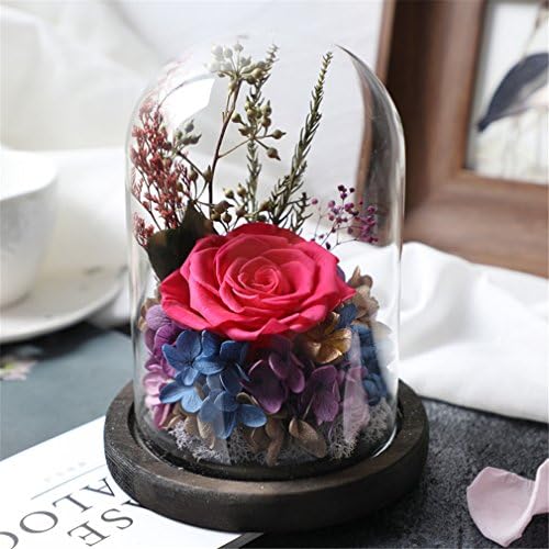 Beauty And The Beast Rose, Live Forever Rose in Glass, Live Enchanted Rose, Preserved Rose %100 Natural
