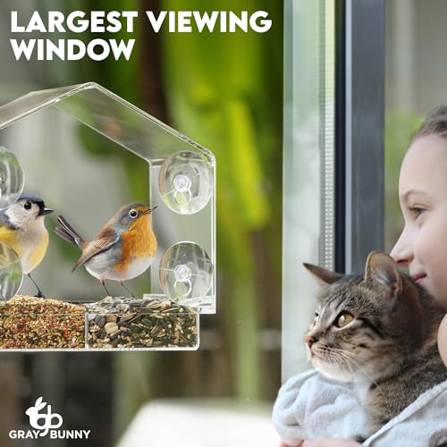 Window Bird Feeders for Outside - Large Bird House Style Window Bird Feeder - Window Bird Feeders with Strong Suction Cups with Drain Holes, Removable Tray, Large Seed Capacity and Rubber Perch