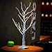 Excelvan Desk Lighted Tree Light, Decorative Flexible Creative Colorful Light, Perfect for Home Festival Party Wedding, Indoor & Outdoor Decoration (White Birch)