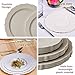 Silver Spoons Party Disposable 10 pc Dinnerware Set | 10 Dessert Plates | Heavyweight Plastic Dishes | Elegant Fine China Look | for Upscale Wedding and Dining (Vintage Collection – Cream | 7.5 Inch)