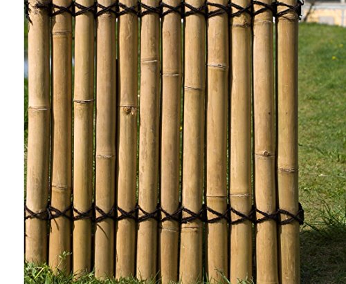 Bambus Sichtschutzzaun Bambuswand starr Apas4 150 x 120cm aus dicken gelblichen Bambusrohren mit 7-9cm Durchmesser – Bild 6