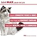 Joint MAX Liquid for Cats - Vitamins, Minerals, Antioxidants - Maximum Joint Health Supplement for Cats - 8 fl oz
