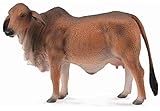 CollectA Red Brahman Cow