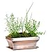 H Potter Rectangular Planter with Antique Copper Finish Indoor Outdoor Garden Pot and Plant Window Box for Succulent Flowers Dimensions 12 x 6 x 6 Inches Gar554