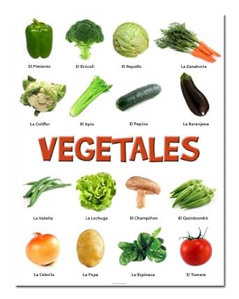 AULA - Póster de verduras (Español) - 20 "x 26: Amazon.es: Amazon.es