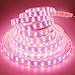 LEDENET 16.4FT Double Row RGB+Warm White 5050 LED Strip Lights 24V 600LEDs Waterproof in Silicone sleeving IP67
