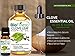BioFinest Clove Leaf Oil - 100% Pure Clove Essential Oil - Premium Organic - Therapeutic Grade - Best For Tooth Aches - Anti-Bacteria - Natural Skin Care - FREE Essential Oil Guide (10ml)