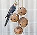 Pet Magasin Hand-Made Heavy Duty Bird Toys for Large Birds Parrot Cage Bite Toys African Grey Macaws Cockatoos