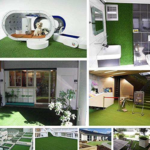 6 Artificial+Grass+Turf+Lawn+Landscape