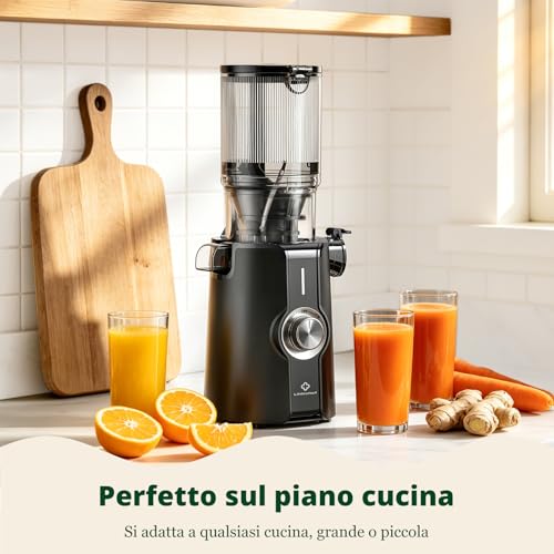LINKChef Fruit and Vegetable Extractor, 115 mm Opening Juice Extractor 1.2L, Slow Juicer Machine for Whole Fruits and Vegetables, BPA Free, Easy to Disassemble and Clean, Recipes Included, 200W