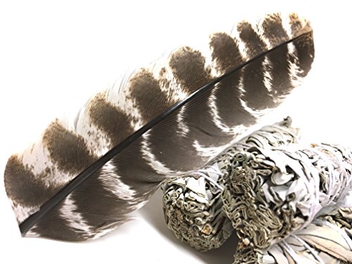 Smudge Kit - White Sage, Palo Santo, Abalone Shell, Smudging Feather, Kokopelli Keychain! Healing, Purifying, Meditating & Incense (Essentials)